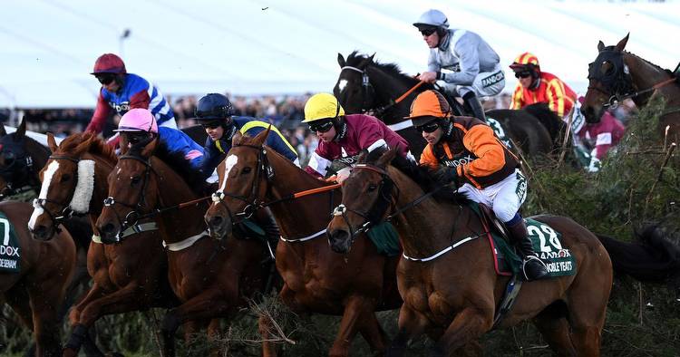 Grand National 2023 top tips from food and drinks to bets and vital supplies