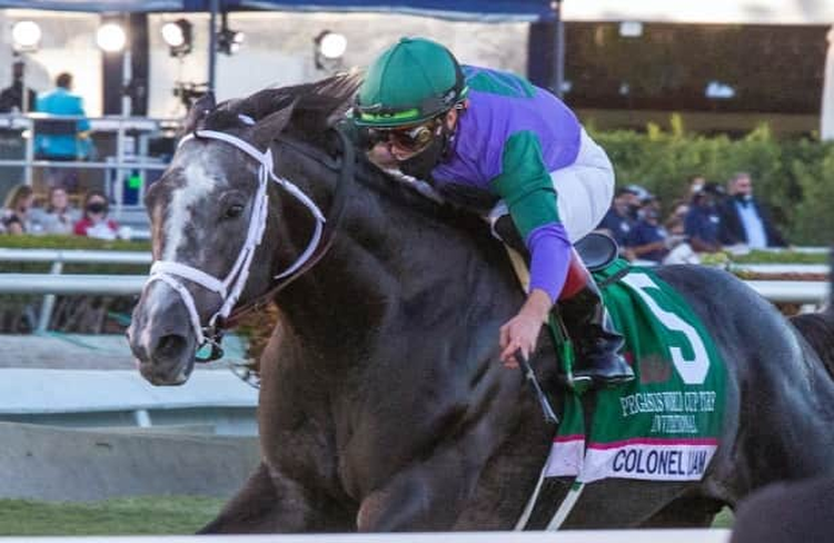 Gulfstream Park Thursday: Value Betting Opportunities