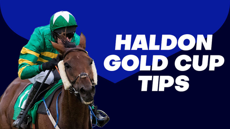 Haldon Gold Cup Tips: Elixir looks De Nutz at Exeter