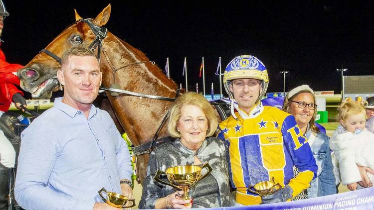Harness racing: Jason Grimshaw plotting another boilover result in Hunter Cup