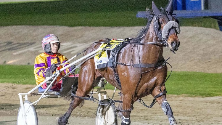 Harness racing: New Eureka plan for Catch A Wave