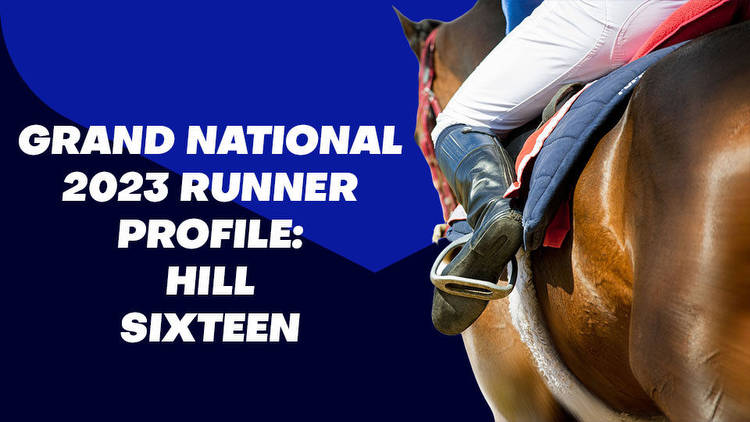 Hill Sixteen Grand National Odds & Betting Profile