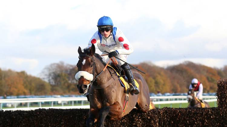 Hitman on target at Haydock to book King George ticket