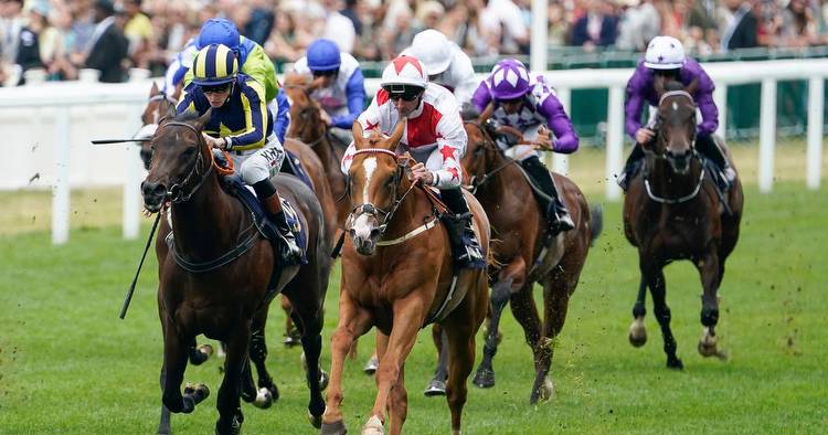 Holloway Boy owner makes brilliant admission after stunning 40-1 win at Royal Ascot 2022