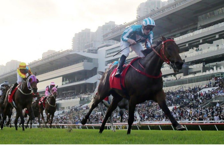 Hong Kong Cup Preview & Prediction