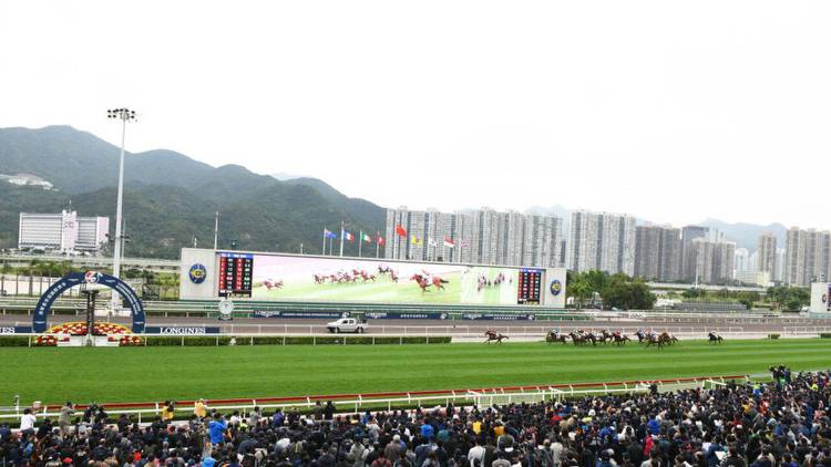 Hong Kong International Raceday preview and tips: Sunday, December 11