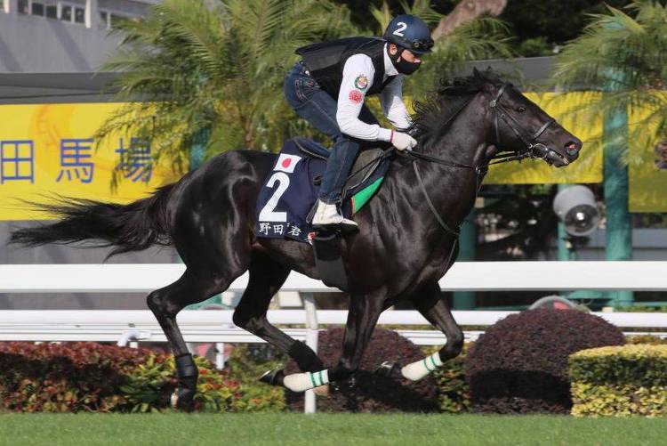 Hong Kong International Races bring down curtain on '21 global calendar