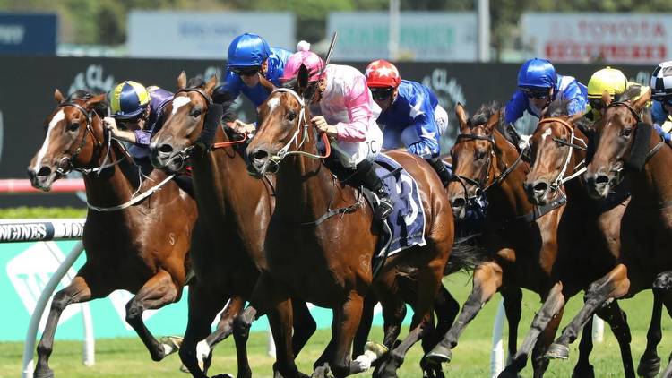 Hope In Your Heart can repay owners with dream Group 1 in Coolmore Classic
