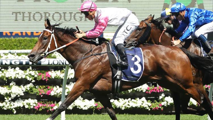 Hope In Your Heart returns at Monday’s Warwick Farm trials