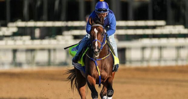 Horse Deaths Raise Questions Ahead of the Kentucky Derby