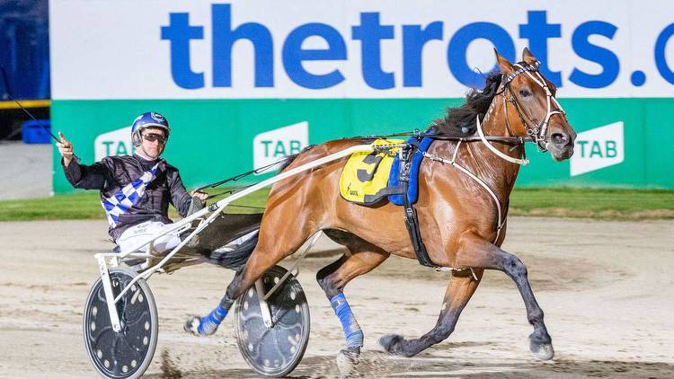 Horse racing: Alta Meteor given heaven sent marble in NSW Derby at Menangle