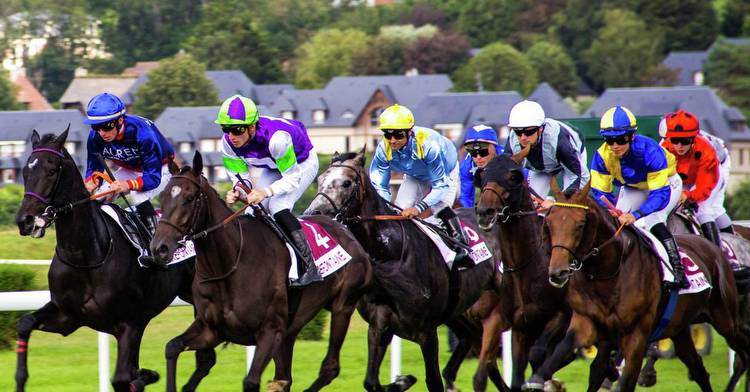 Horse Racing Betting Statistics and Trends in the UK (Sponsored content from Deepak Parashar)