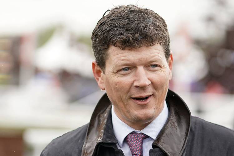Horse Racing Betting Tips: Fantastic Fox looks Wolferton banker