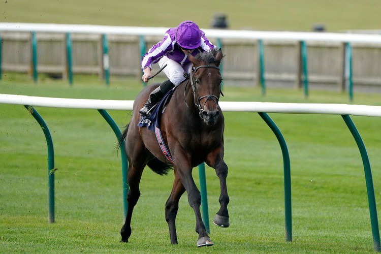 Horse Racing Betting Tips: O’Brien’s Wichita can give Pinatubo a true test in the Dewhurst Stakes