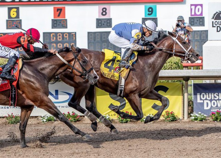 Horse racing: Big Data wins Super Derby