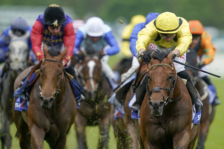 Horse racing bonus: Get a £20 FREE BET at Newcastle, Down Royal or Exeter today with 10bet
