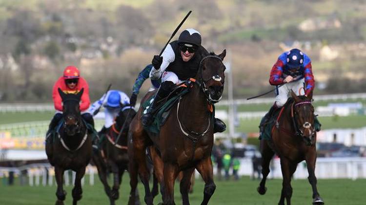 Horse racing crackdown as whip rules to be introduced in time for Cheltenham Festival
