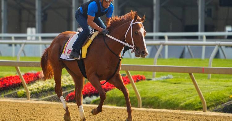 Horse racing-Derby winner Mage enters Preakness Stakes as the horse to beat