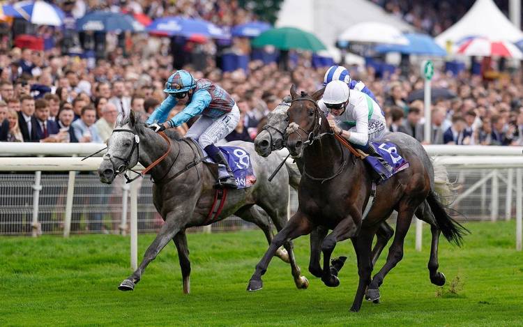 Horse racing odds and predictions: Northumberland Plate 2022