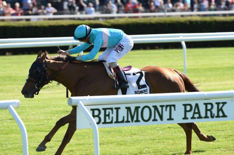 Horse Racing Odds: Understanding, Analyzing, and Capitalizing on Betting Opportunities