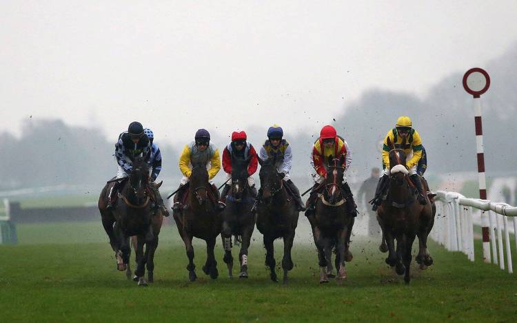 Horse racing predictions: Ascot and Haydock