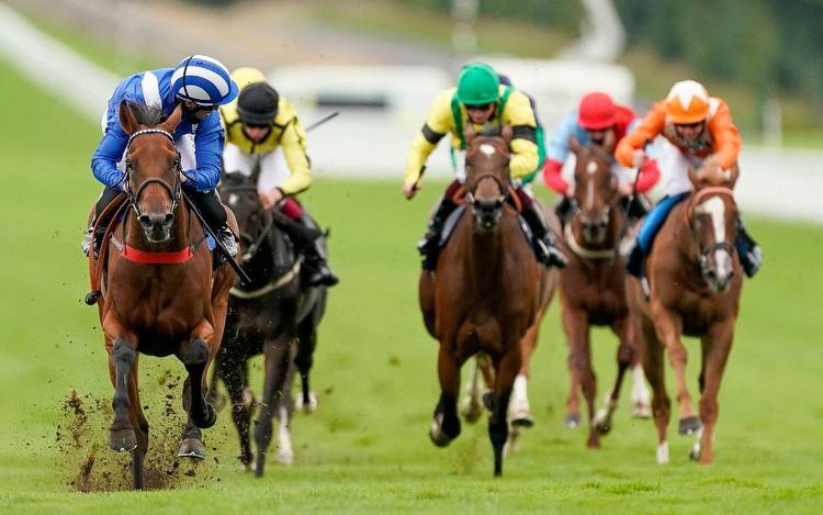 Horse racing predictions: Goodwood, Galway and Leicester