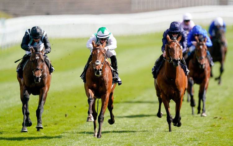 Horse racing predictions: Sandown, York and Chester