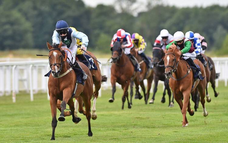 Horse racing predictions: Windsor, Naas and Thirsk