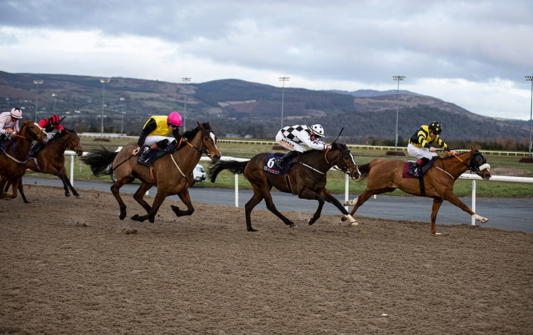 Horse Racing tips: A 7/1 shout tops our bets at Dundalk today