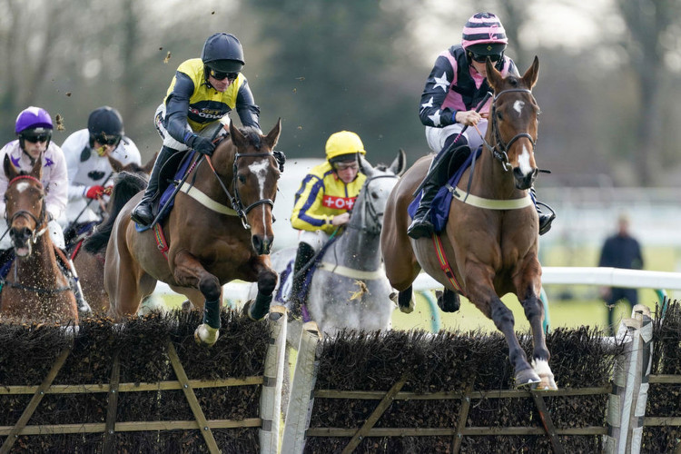 Horse Racing Tips: A 7/2 pick tops the list at Market Rasen today