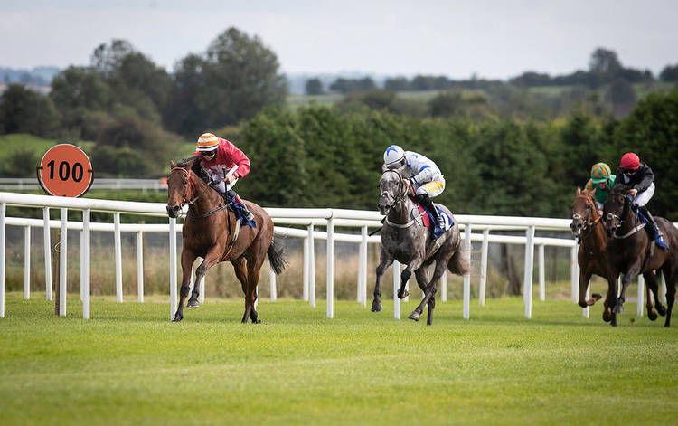 Horse Racing tips: A 9/1 pick tops the list at Roscommon today