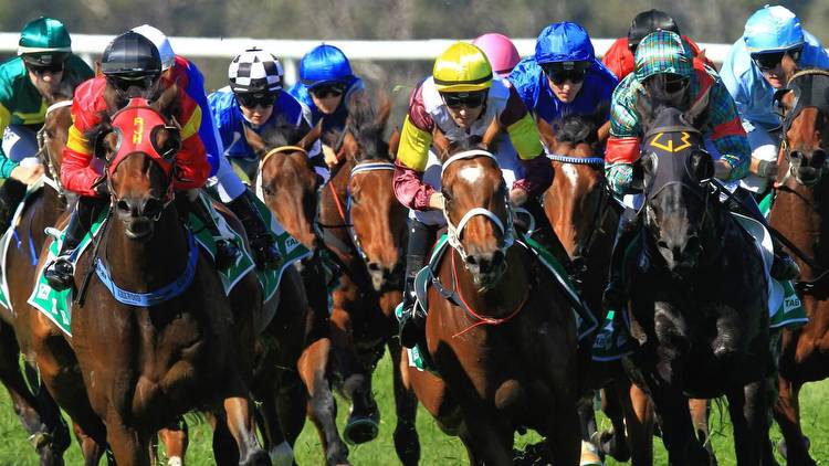 Horse racing tips: Best bets for Port Macquarie with Matt Jones