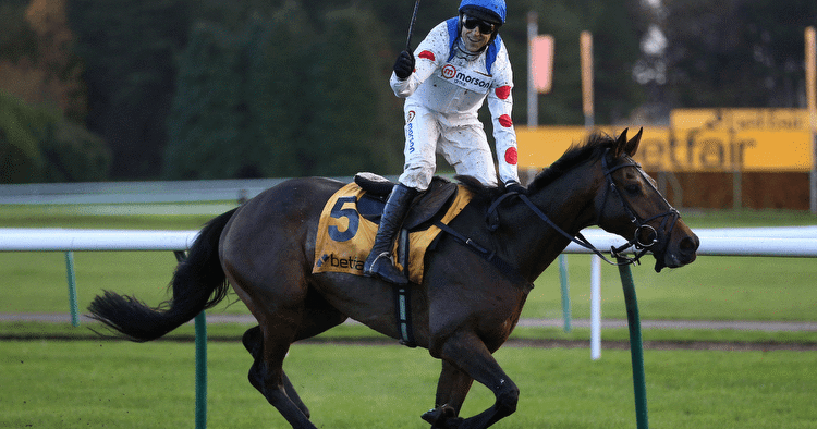 Horse Racing Tips: Best Betting Tips & Odds for Saturday
