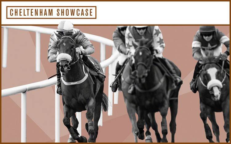 Horse racing tips: Cheltenham Showcase day two predictions