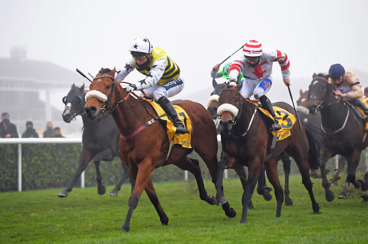 Horse racing tips for Monday: Harry Allwood's two best bets