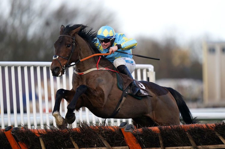 Horse Racing Tips Friday 24th November 2023 best bets and most tipped horses
