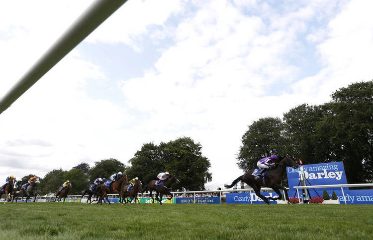 Horse Racing Tips Friday 26th August 2022 best bets and most tipped horses