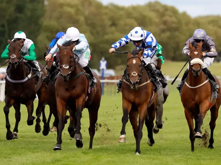Horse racing tips: James Boyle's best bets for Glorious Goodwood Day One