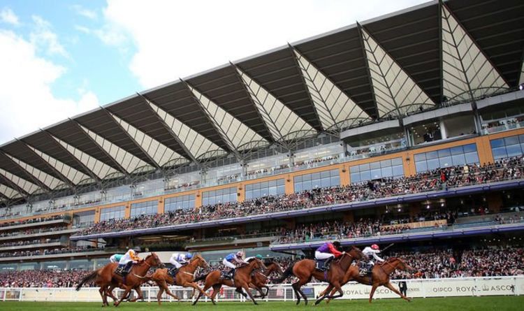 Horse racing tips: Latest best bets from Royal Ascot and beyond