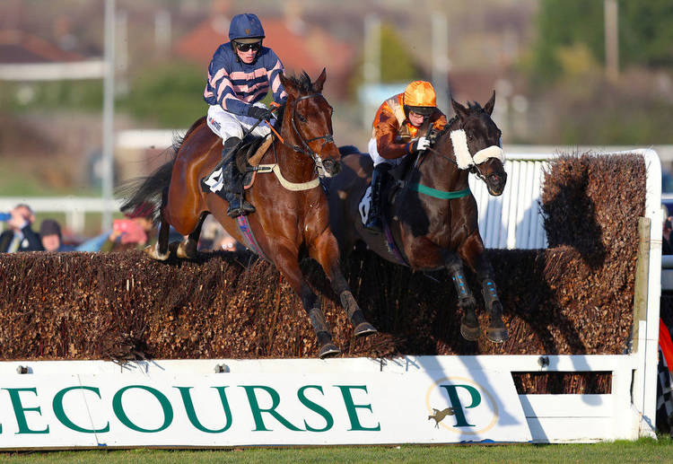Horse Racing Tips Monday 13th February 2023 best bets and most tipped horses