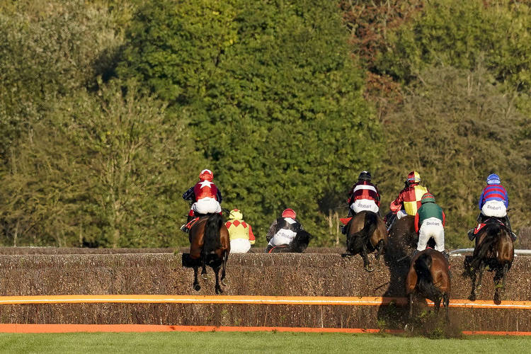 Horse Racing Tips Monday 7th November 2022 best bets and most tipped horses
