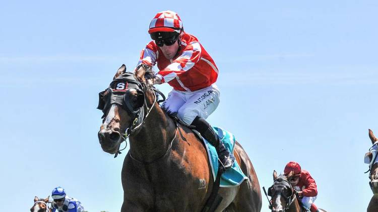 Horse racing tips: Sandown Hillside best bets, jockey to follow