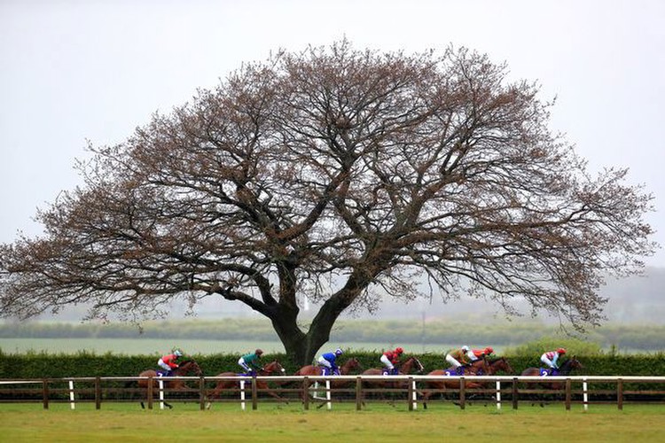 Horse racing tips: Sunday selections from Newsboy for cards at Beverley, Goodwood and Perth