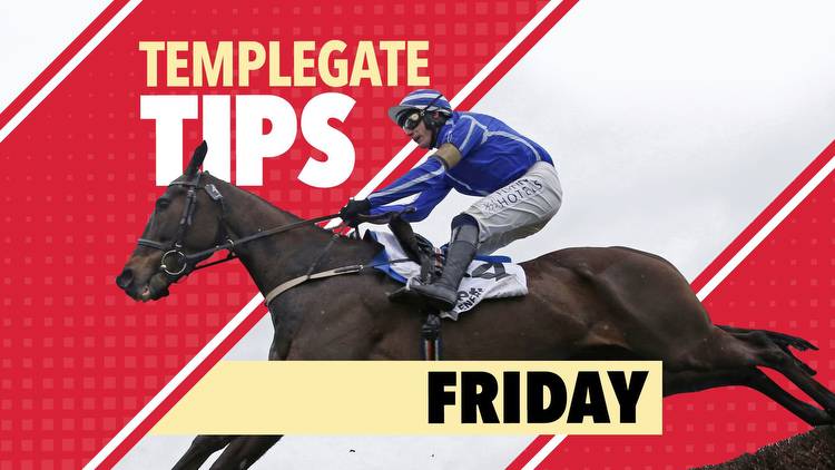 Horse racing tips: Templegate NAP can make a mockery of this opening handicap mark