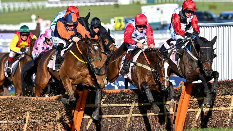 Horse racing tips: Templegate reveals two huge each-way Cheltenham Festival picks for the handicaps