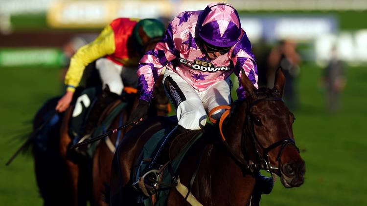 Horse racing tips: Templegate runner-by-runner guide and 14-1 tip for the big handicap hurdle at Cheltenham on Friday