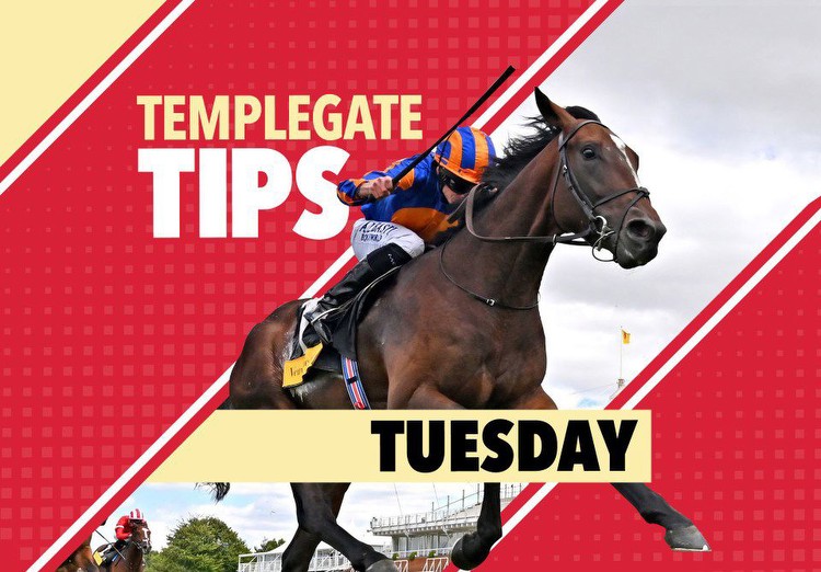 Horse racing tips: Templegate's NAP loves her trips to Sedgefield and can win her fourth race at the track