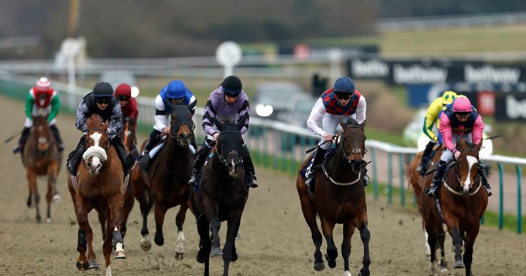 Horse racing tips: Thursday selections from Newsboy for cards at Lingfield, Salisbury, Warwick and Chelmsford
