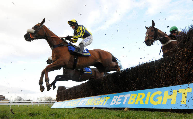 Horse Racing Tips Tuesday 10th January 2023 best bets and most tipped horses