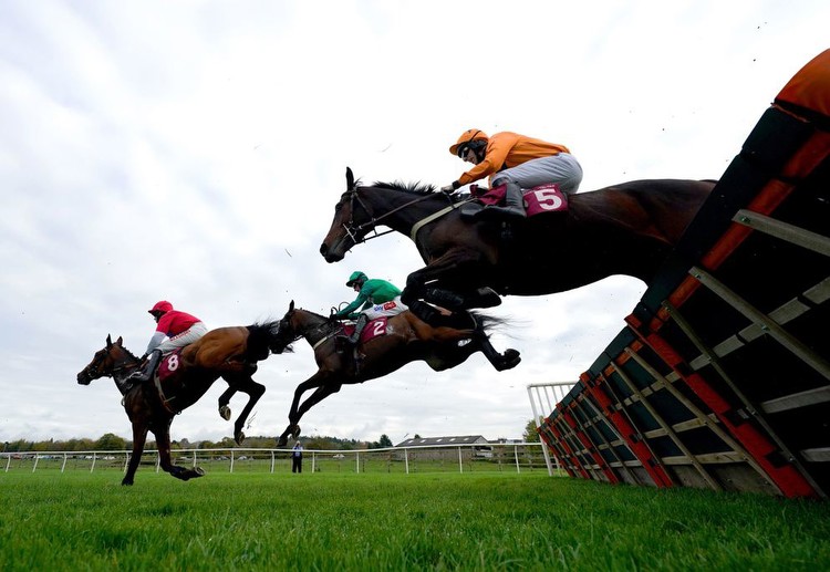 Horse Racing Tips Tuesday 28th November 2023 best bets and most tipped horses